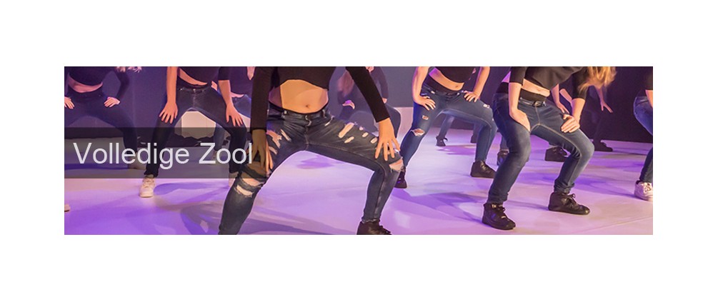 Danssneakers Doorlopende Zool