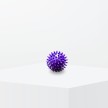 Dansez-Vous Massage Bal