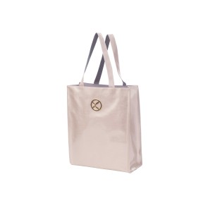 Capezio B165 chique shopper voor dansspullen metallic
