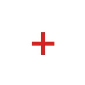 plus