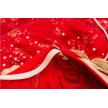 Sansha Passion Rode Professionele Tutu Details