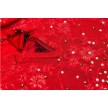Sansha Passion Rode Professionele Tutu Strass Stenen