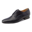 Blauwe Dansschoenen voor Heren - Hak 2 cm - Leer met Patroon - Ballroom, Salsa, Latin- Werner Kern 28043