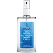 Weleda Salvia Deodorant