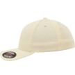 Urban Classics 6277MS Flexfit Pet voor Dames en Heren Links