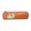  Schattige oranje etui met turnster