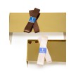 Capezio BH315 Rehearsal Ribbon en Elastic Pack zalmroze